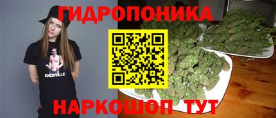 гидропоника Будённовск