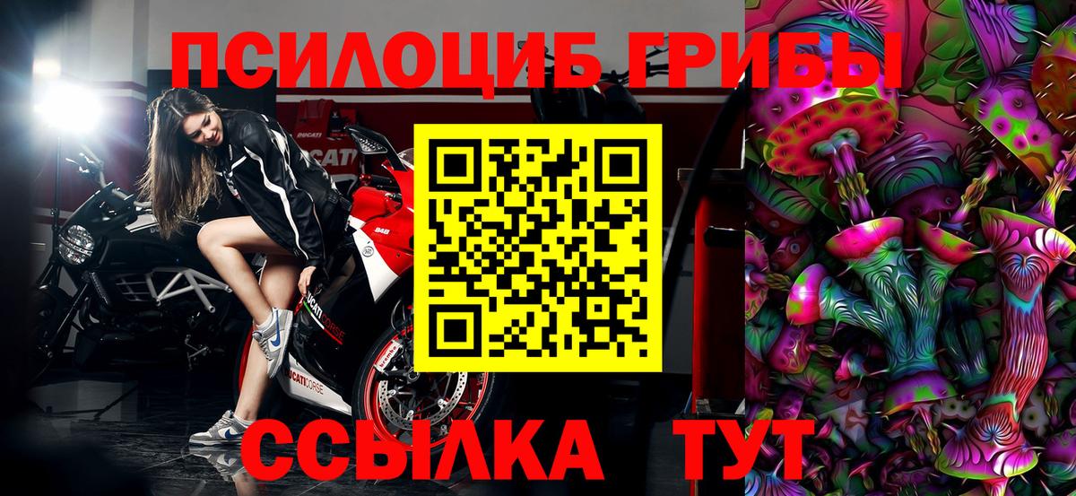 Псилоцибиновые грибы Cubensis Рославль