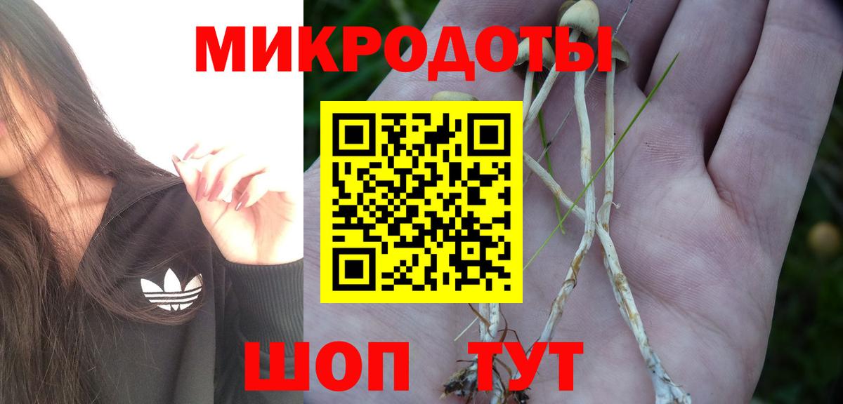 что такое   Вход с VPN  Галлюциногенные грибы мицелий  Рославль  Псилоцибиновые грибы мицелий 